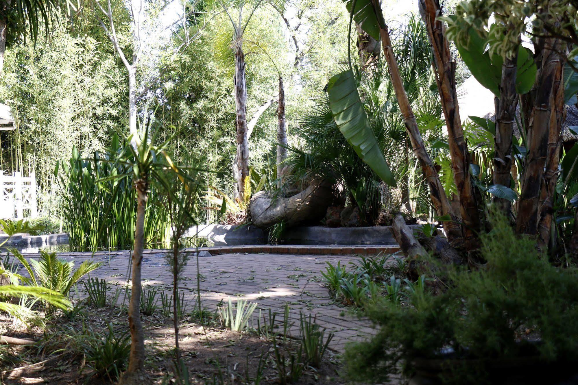 Summerview Guest Lodge Johannesburg Kültér fotó